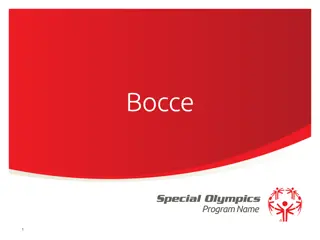 Bocce Program Overview