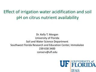 Understanding Citrus Nutrient Availability in Relation to Soil pH and Irrigation Water Acidification