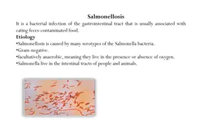 Salmonellosis: Causes, Symptoms, and Prevention