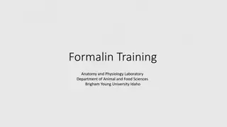 Formalin Safety Guidelines in Anatomy and Physiology Laboratory