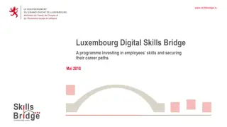 Understanding the Impact of Digital Transformation on Skills and Careers in Luxembourg