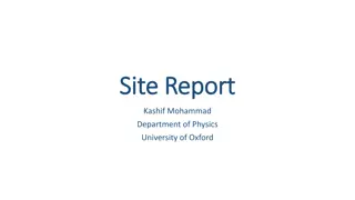 Network Monitoring and Vulnerability Scanning Overview