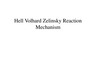 The Hell-Volhard-Zelinsky Reaction Mechanism