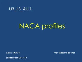 NACA Airfoil Profiles and Design Principles