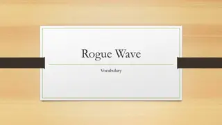 Exploring Rogue Wave Vocabulary in Maritime Context