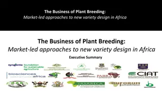 Market-Led Approaches to Plant Breeding in Africa