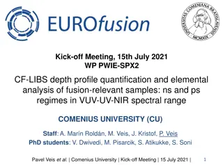 Depth Profile Analysis of Fusion-Relevant Samples Using LIBS Technique