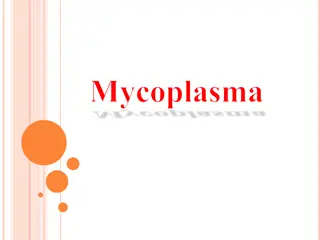 Mycoplasma: Characteristics, History, and Impact