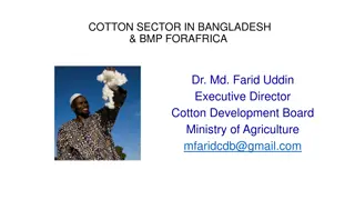 Overview of Bangladesh's Key Sectors - Cotton, Agriculture, Textile & Apparel Industry