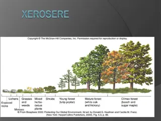 Xerosere: Plant Succession in Dry Environments