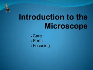 Mastering Microscope Focusing Techniques