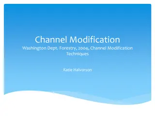 Successful Channel Modification Techniques and Benefits