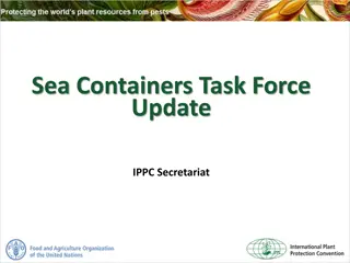 Risks and Best Practices in Sea Container Movement