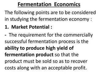 Fermentation Economics: Key Market Considerations