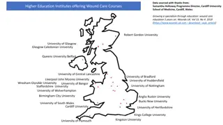 Higher Education Institutes Offering Wound Care Courses: A Specialism in Wound Care Education