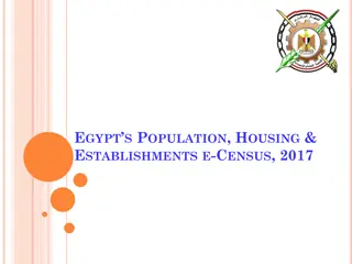 Overview of Egypt's 2017 Population, Housing & Establishments E-Census