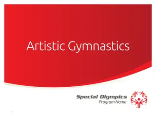 Artistic Gymnastics Program Overview