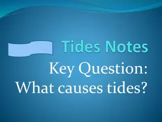 Understanding Tides: Causes, Forces, and Patterns Explained