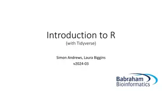 Mastering R Basics with Tidyverse for Efficient Data Analysis