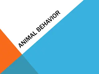 Animal Behavior: Instincts, Learning, and Social Interactions