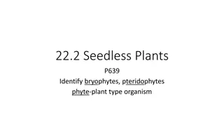 Seedless Plants: Bryophytes and Pteridophytes