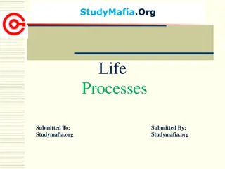 Life Processes: Essential Functions for Organism Survival