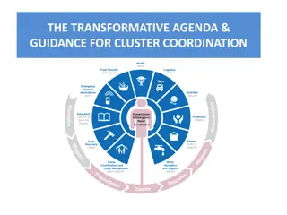 Transformative Agenda and Guidance for Effective Cluster Coordination