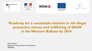 Sustainable Solution for SALW Issues in Western Balkans by 2024