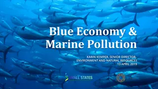 The Blue Economy and Marine Pollution: A Comprehensive Overview