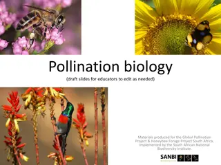 Pollination Biology and the Importance of Honeybees