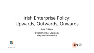 Irish Enterprise Policy and Development Challenges