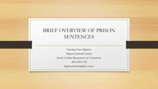 Comprehensive Overview of Prison Sentences in South Carolina