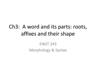 Morphology: Roots, Affixes, and Shape of Words