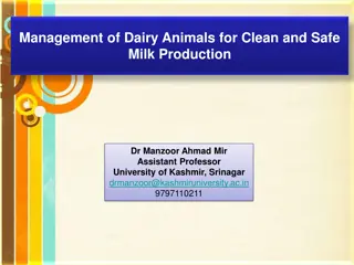 Dairy Animals Management for Clean & Safe Milk Production