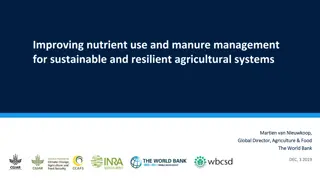 Enhancing Nutrient Efficiency in Agriculture for Sustainable Systems