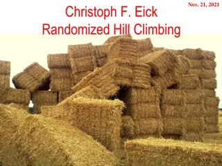 Randomized Hill Climbing Algorithm for Challenging Problem Solving