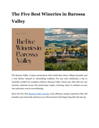 The Five Best Wineries in Barossa Valley