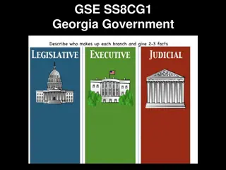 Foundations of Georgia's Government and Constitution Structure