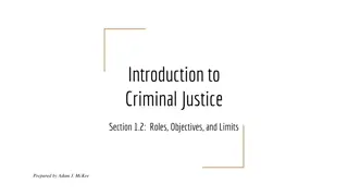 Roles in Criminal Justice System