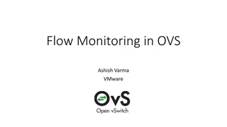 Flow Monitoring in OVS for Efficient Network Management