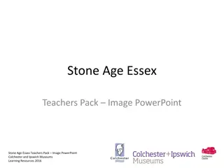 Stone Age Artefacts Discovered in Essex, UK