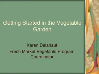 Essential Tips for Starting Your Vegetable Garden