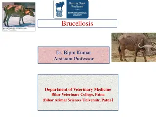 Brucellosis: A Zoonotic Disease Impacting Animals and Humans