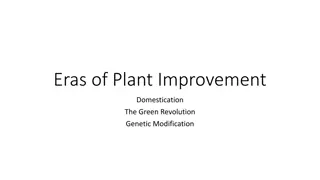 Evolution of Plant Improvement: Domestication to Genetic Modification