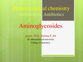 Understanding Aminoglycoside Antibiotics in Pharmaceutical Chemistry