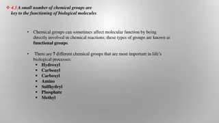 Chemical Groups and Macromolecules in Biological Processes