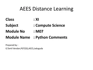 Python Comments and Best Practices