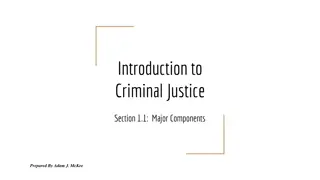 Overview of Criminal Justice System Components in the United States