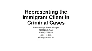 Common Grounds for Deportation in Criminal Cases Explained