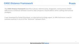 The CAGE Distance Framework for International Business